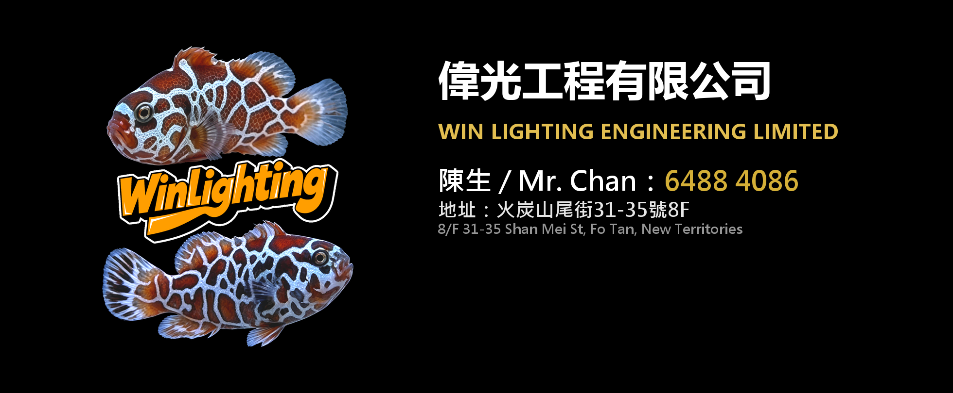 偉光工程有限公司 Win Lighting Engineering Limited